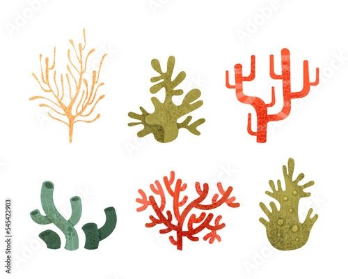 Colorful Coral as Marine Invertebrate from Ocean Bottom Vector Set