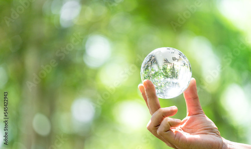 Crystal ball used as a telling object. Nature park with trees in the background. hand for environmental, social, and governance in sustainable and ethical business on green background.