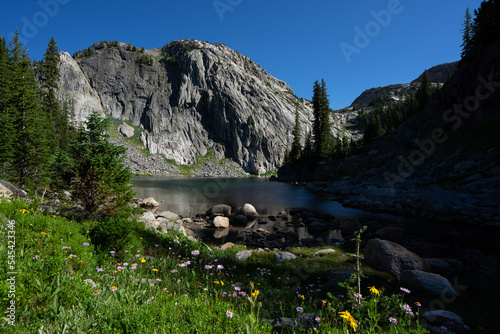 Wildflowers by a lake in the beartooth mountains photo