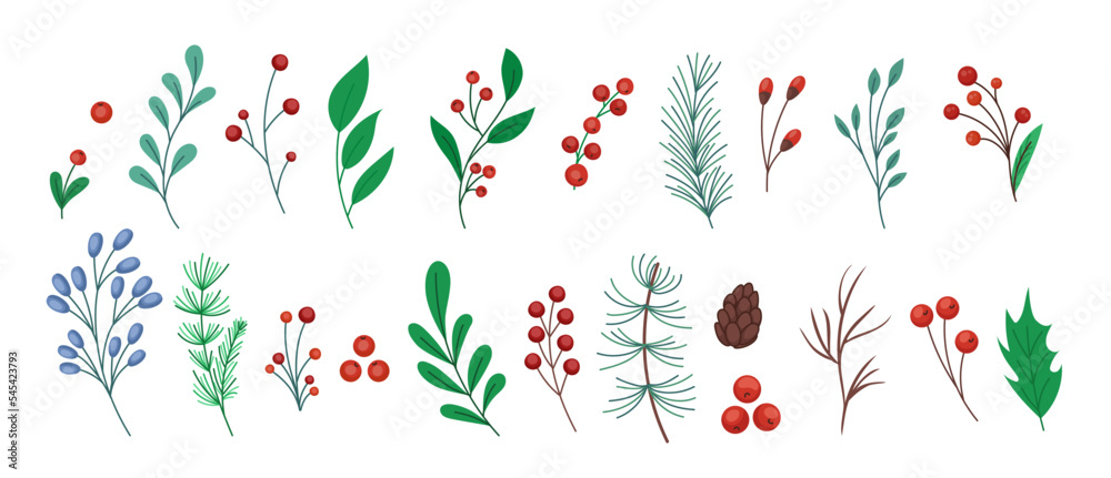 Fototapeta premium Christmas tree line plants, berry and mistletoe, stems and cones. Xmas branch silhouette colorful elements, holly pine, red and white leaf, tidy botanical objects. Vector illustration icons