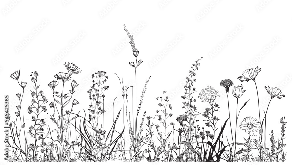 Drawing wild flowers Royalty Free Vector Image