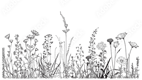 Photo Beautiful wild flowers in the field hand drawn sketch Vector illustration