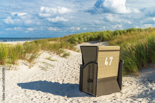 Fototapeta Naklejka Na Ścianę i Meble -  Strandkorb in den Dünen bei Prerow, Fischland-Darß-Zingst, Ostsee, Mecklenburg-Vorpommern, Deutschland