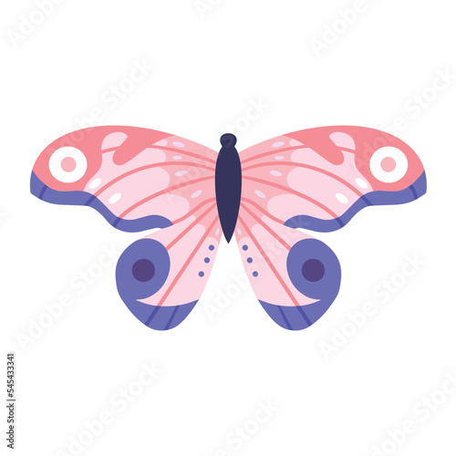 Pink Butterfly isolated on white. Flat vector eps. Detailed wings.
