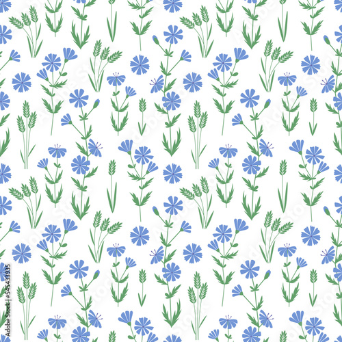 Seamless pattern with blue wild flowers seamless for wallpaper design. Chicory vector print. Seamless flower pattern.