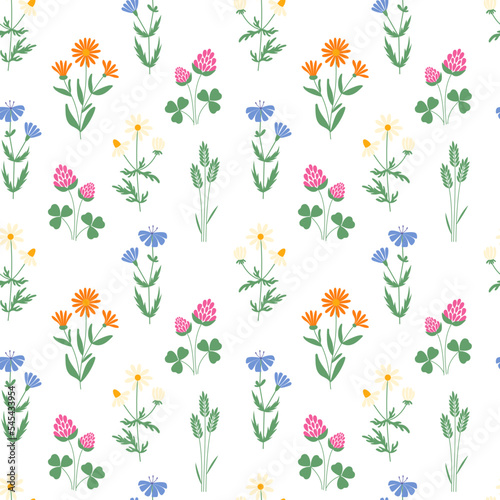 Decorative textile seamless pattern. Wild meadow. Summer floral pattern.