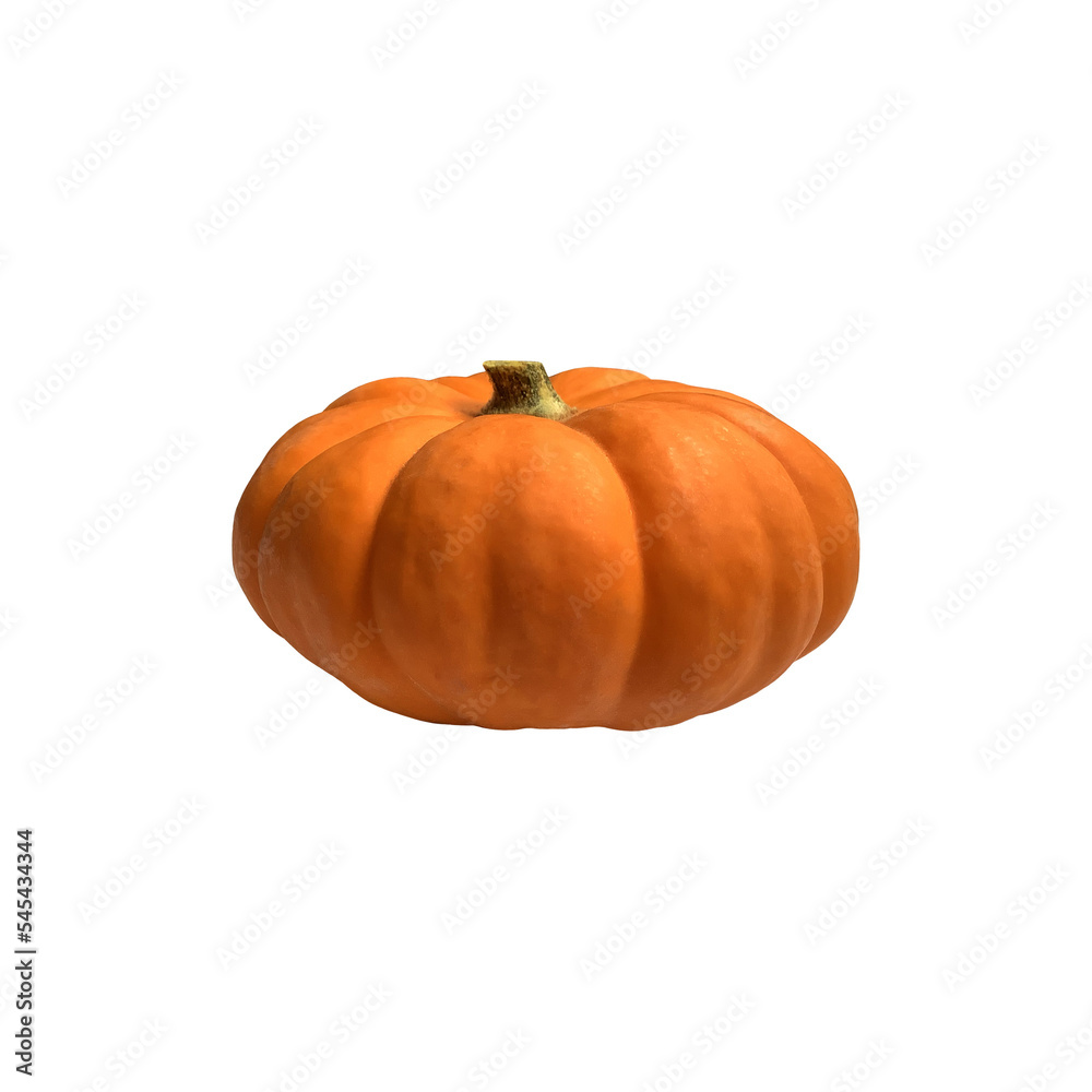 Obraz premium Mini yellow pumpkin vegetable set seasonal image for autumn holiday thanksgiving and halloween design isolated on the white background, clipping path