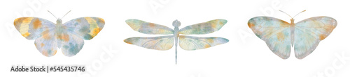Collection of watercolor butterflies. set of insects with wings © Sergei
