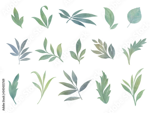 Set of watercolor leaves for design of cards and invitations