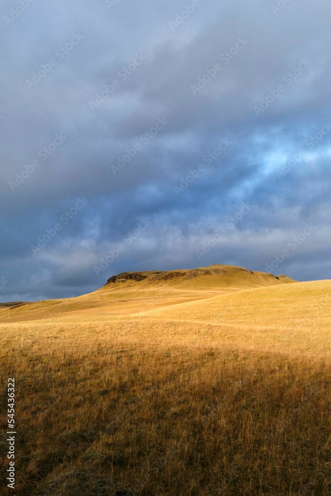 Vertical shot of a golden field and landscape with an overcast sky