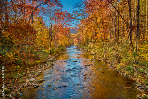 Fall colors along the Davidson River in Pisgah National Forest.