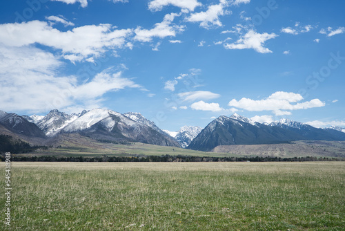 Absaroka Mountains behind a grassy meadow photo