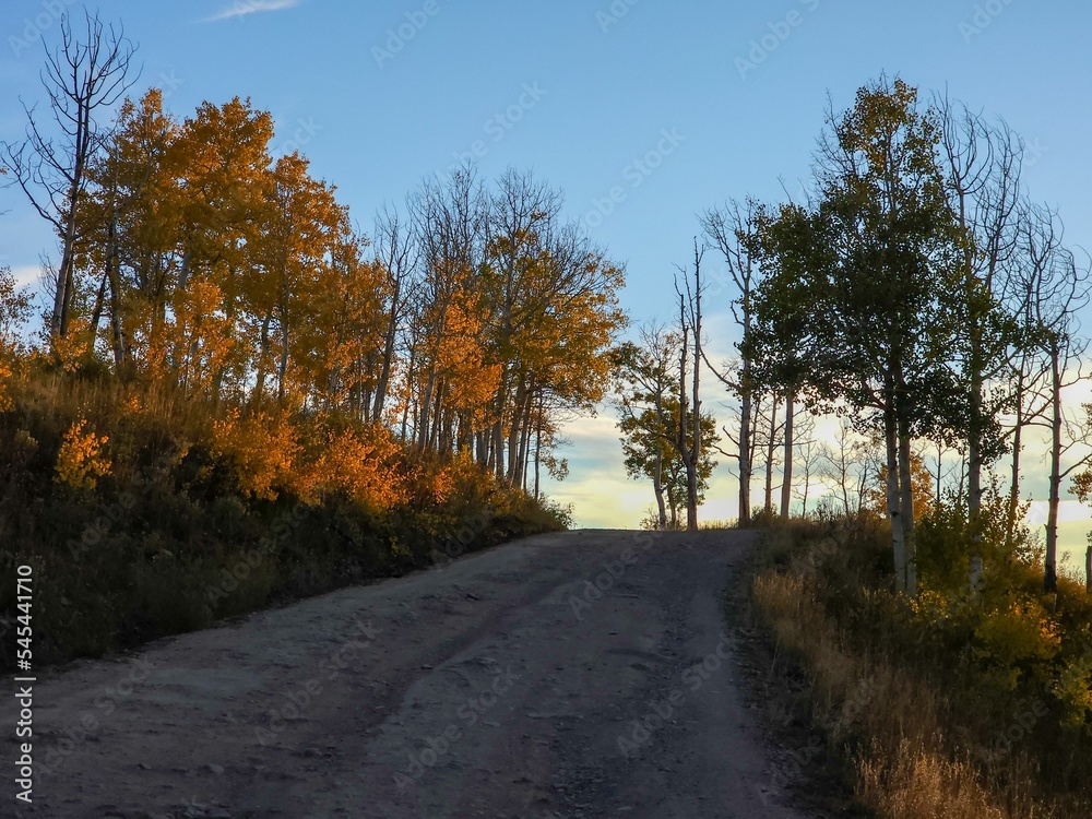 Last Dollar Road surrounded by aspen trees in Colorado