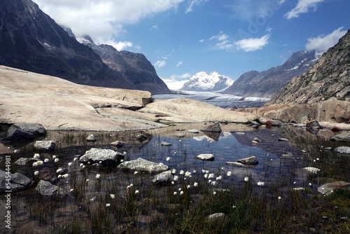 Beautiful shot of Aletschgletscher glacier in Valais in Switzerland