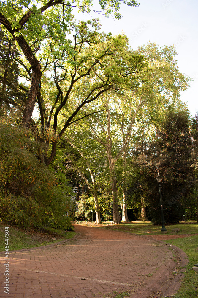 Hermoso camino en jardin botanico, parque en primavera, naturaleza en medio de la ciudad Hermoso camino en jardin botanico, parque en primavera, naturaleza en medio de la ciudad