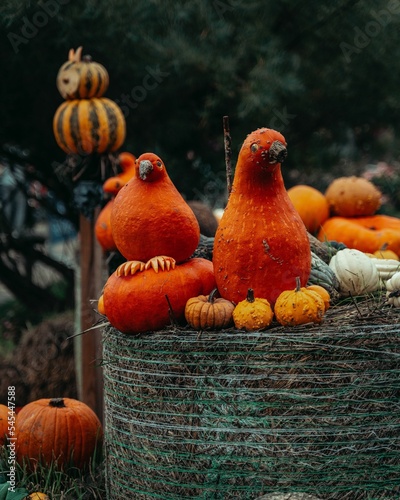 Vegetable carved bird Halloween design for scaring kids