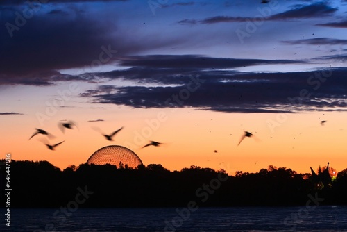 The Montreal's Biosphere. photo