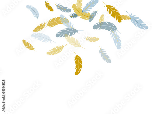 Detailed majestic feather on white design.