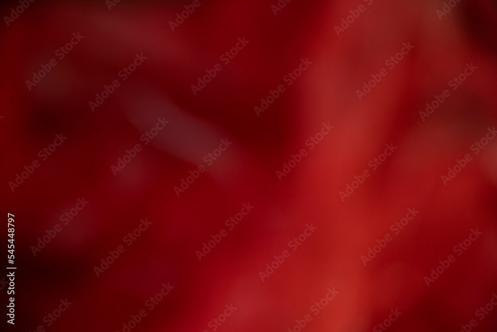 red gradient soft abstract blur background red gradient soft abstract blur background