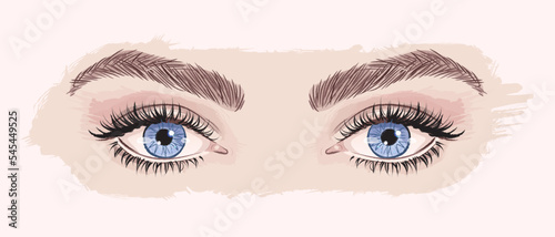 Hand drawn beautiful female blue eyes with long black eyelashes and brows isolated on background. Vector illustration