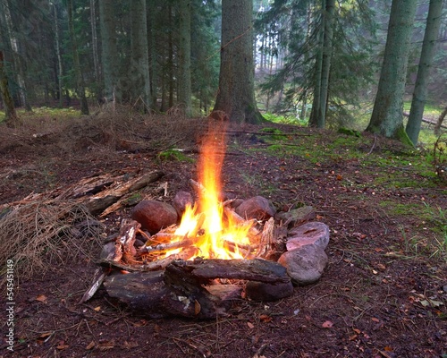 Small bonfire in the forest