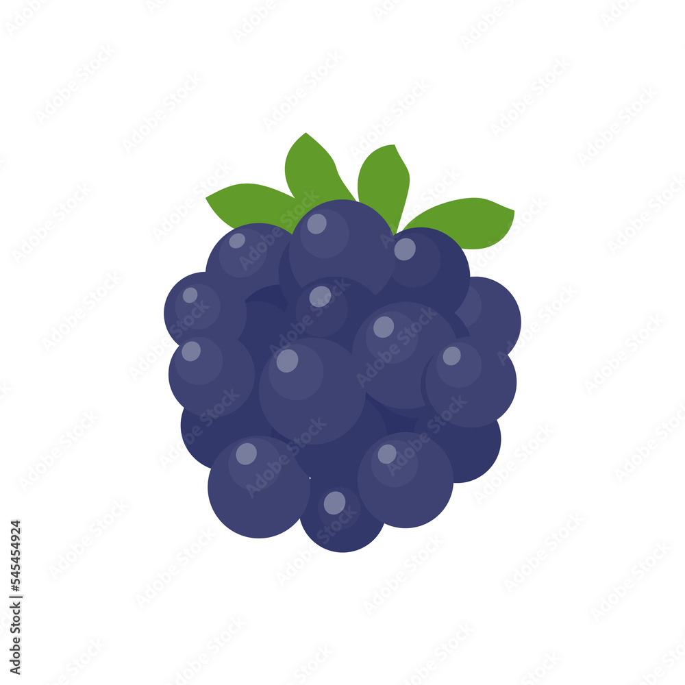 Blueberry vector. Fresh berries. Healthy fruits contain antioxidants. Blueberry vector. Fresh berries. Healthy fruits contain antioxidants.