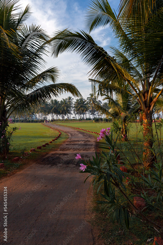 A road leading to a beach with palm trees and flowers