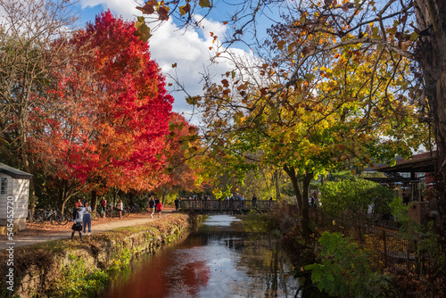Vistors walk the paths of the Delaware Canal Trail during a warm fall day as the trees show their autumn foliage.
