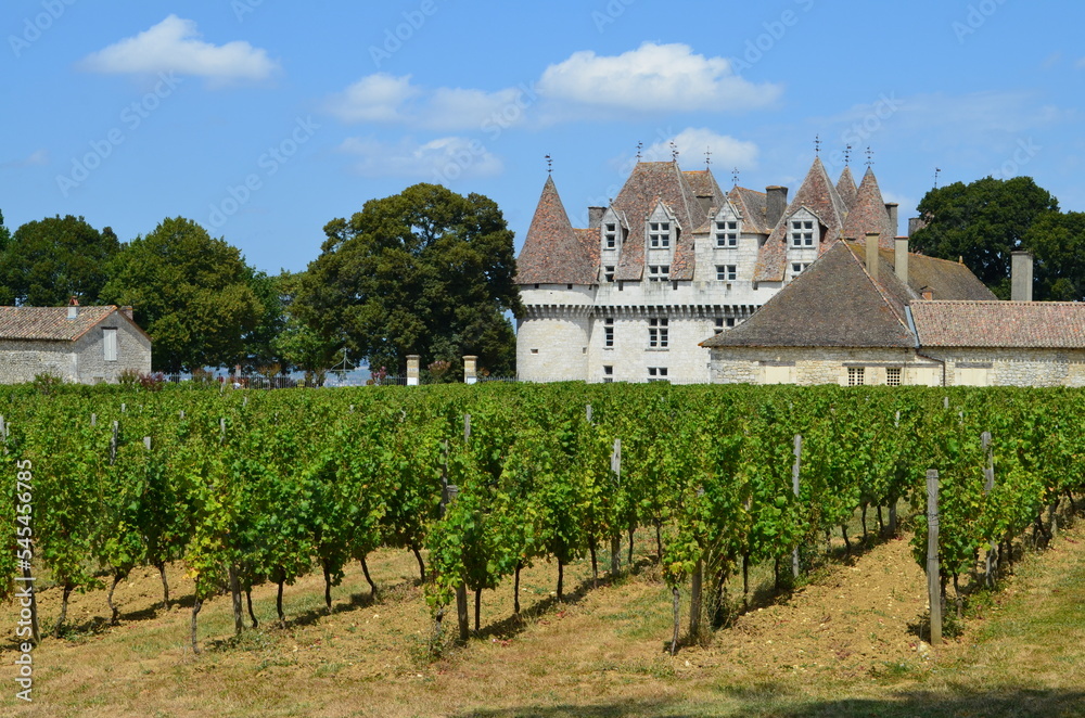 Le vignoble de Monbazillac (Dordogne - Nouvelle-Aquitaine - France)
