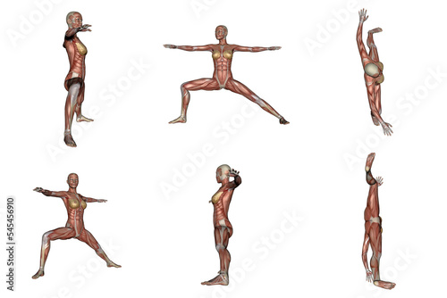 Warrior yoga pose for woman with muscle visible