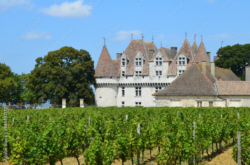 Le vignoble de Monbazillac (Dordogne - Nouvelle-Aquitaine - France)