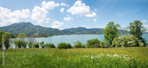 idyllic spring landscape with green meadow, view to lake Tegernsee and bavarian alps photo