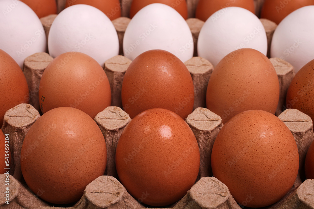 The chicken egg is white and yellow on the egg rack. The chicken egg is white and yellow on the egg rack.
