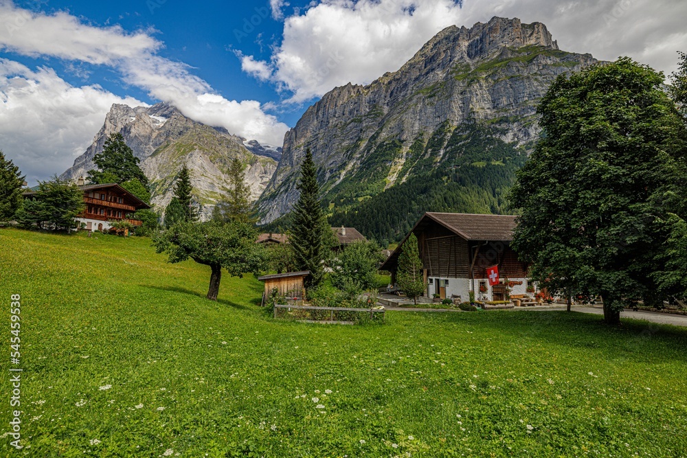 Beautiful scenery of countryside houses in grass field with fresh trees and mountains in background Beautiful scenery of countryside houses in grass field with fresh trees and mountains in background
