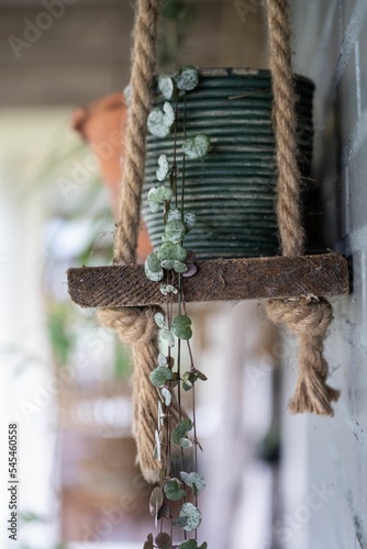 Vertical shot of a planter placed on a wooden surface hanging by the wall