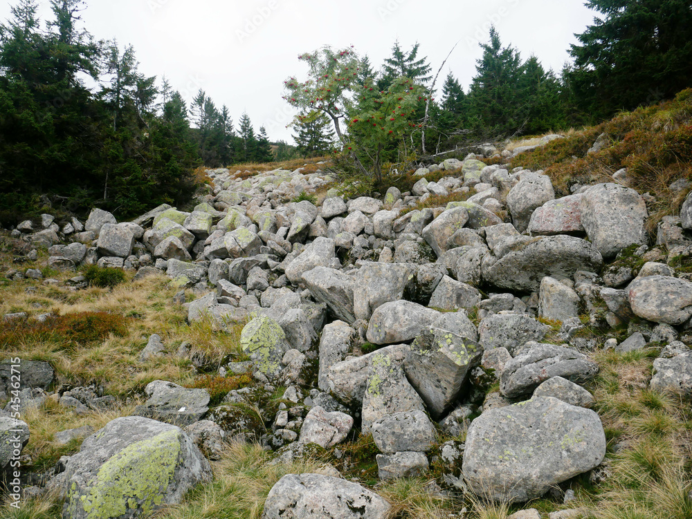 Stone field in autumn Krkonoše mountains Stone field in autumn Krkonoše mountains
