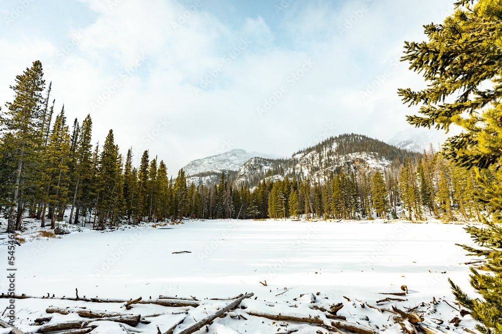 Scenic view of a field surrounded by mountains covered with pine forest and snow in winter