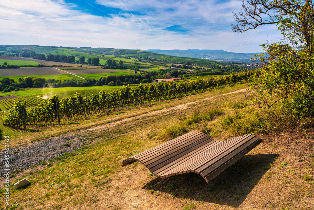 Obraz premium A comfortable lounger to rest with a view of the vineyards in Rhineland-Palatinate/Germany