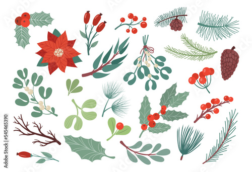 Christmas plant leaves, poinsettia flower, coniferous tree branches. Xmas wreath, botanical floral leaf decor collection, native holiday winter twigs. Vector doodle isolated illustration