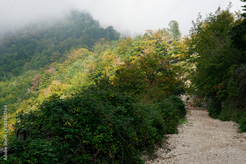 Fototapeta premium Walking path at Monte Semprevisa in the autumn, Monti Lepini Natural Regional Park, Italy