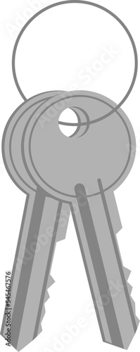 Two keys hanging on ring. Transparent background. Flat vector illustration.
