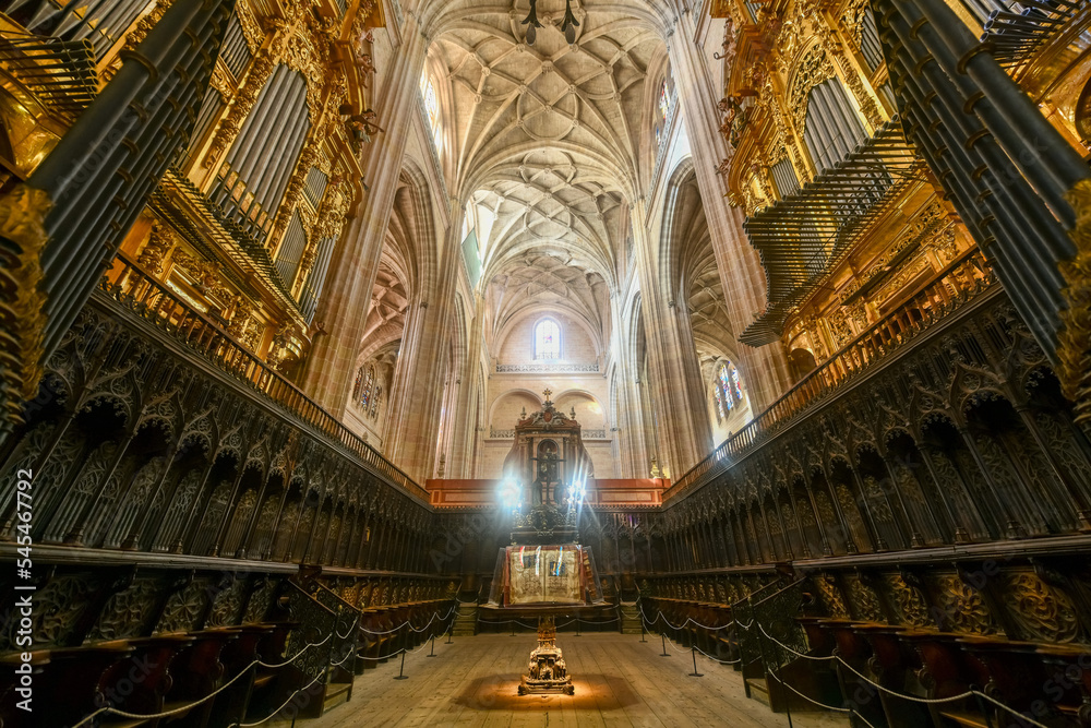 Cathedral of Segovia - Spain