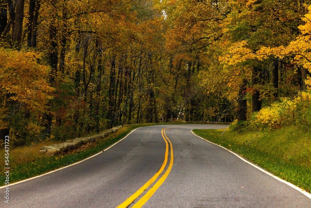 Skyline Drive route surrounded by beautiful trees at the Shenandoah National Park during the fall