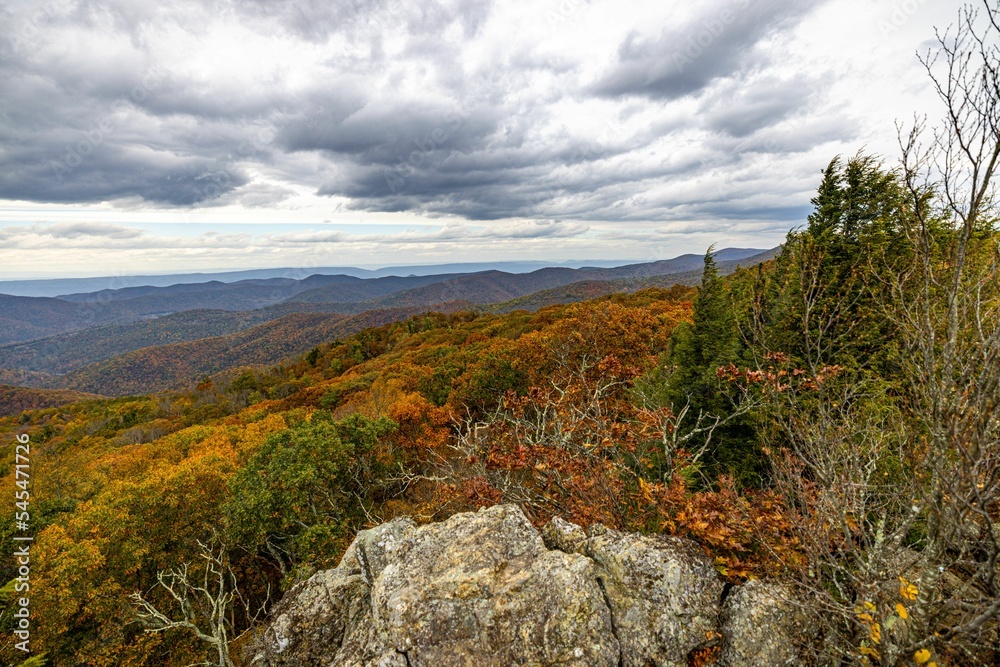 Vertical shot of the Shenandoah National Park with forests and hills during fall on a cloudy day Vertical shot of the Shenandoah National Park with forests and hills during fall on a cloudy day