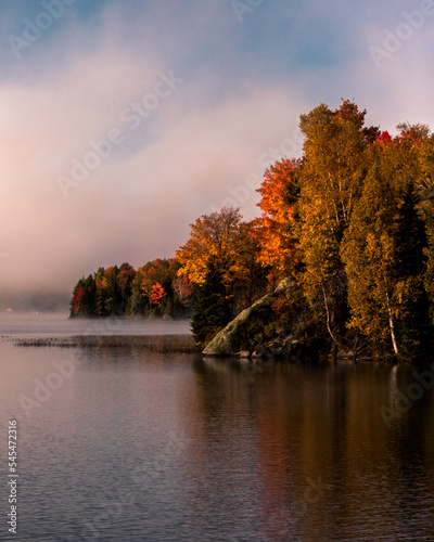 autumn landscape with fog