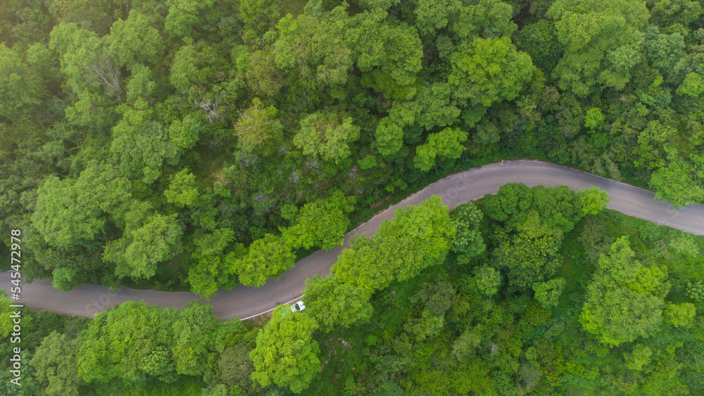 aerial view of beautiful winding road in the middle of the forest aerial view of beautiful winding road in the middle of the forest
