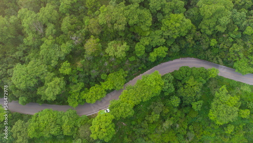 Fototapeta Naklejka Na Ścianę i Meble -  aerial view of beautiful winding road in the middle of the forest