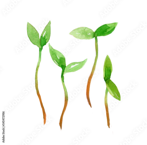 Watercolor micro green set. Hand-drawn illustration isolated on the white background