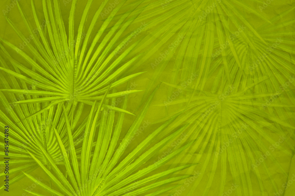 abstract green background with palm leaves abstract green background with palm leaves