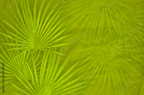abstract green background with palm leaves